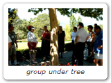 group under tree