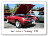 Jensen Healey V8
