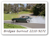 Bridges burnout 2210-9272